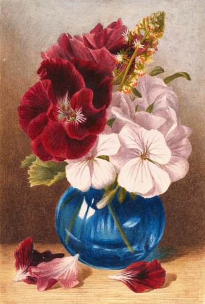 Unknown Image by Mary Elizabeth Duffield